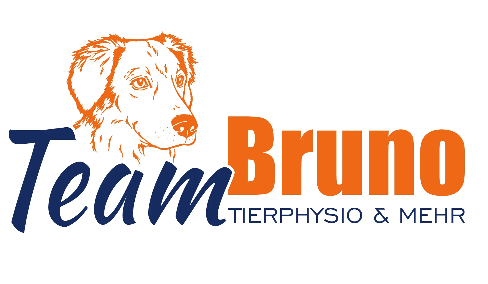 teambruno.de