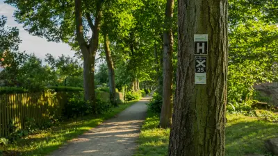 Wandern mit Hund im Münsterland: Der Hermannsweg und die schönsten Routen rund um Rheine