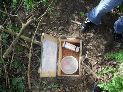 Geocaching mit Hund: Schatzsuche in der Natur – so fangt ihr gemeinsam an