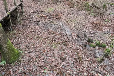 Emsquelle Rundweg: Nordschleife im Naturschutzgebiet Moosheide