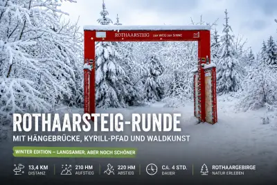 Rothaarsteig-Runde mit Hängebrücke, Kyrill-Pfad und Waldkunst