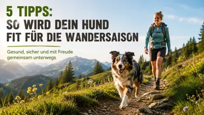 Hund fit für die Wandersaison machen: 5 Tipps für einen gesunden Start