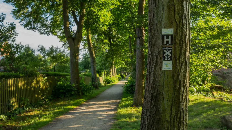 Wandern mit Hund im Münsterland: Der Hermannsweg und die schönsten Routen rund um Rheine