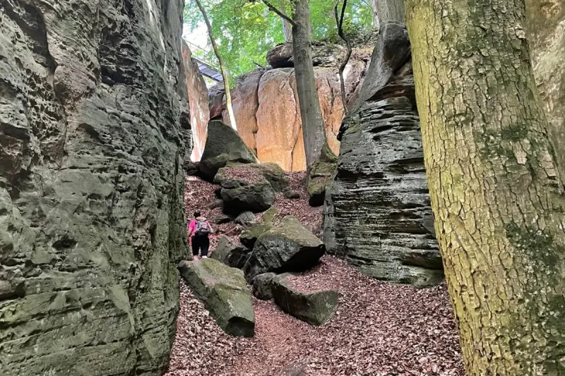 Wandern im Müllerthal mit Hund: Felsentouren in der Kleinen Luxemburger Schweiz