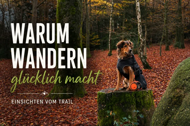 Warum Wandern glücklich macht